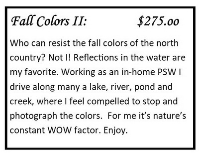 Fall Colors